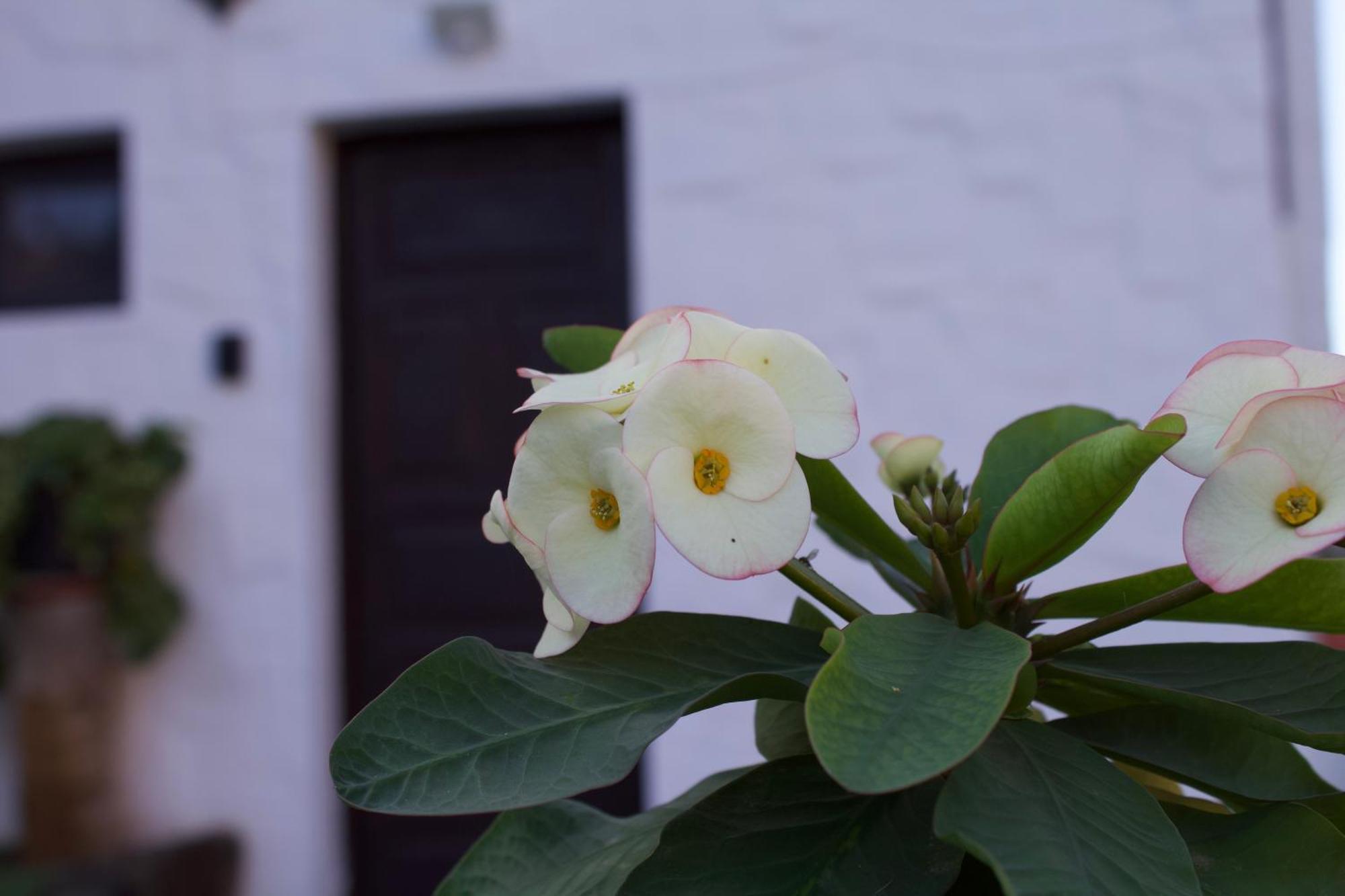 Mogan Natural Exterior photo